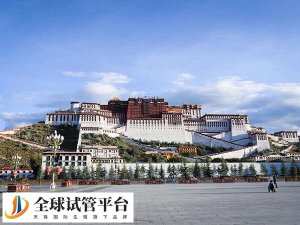 西藏不孕不育医院哪家好？哪家生殖科能试管助孕？