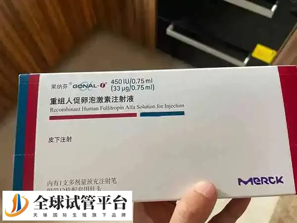 促排是做试管婴儿期间很关键的一步