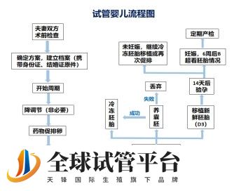 试管婴儿治疗流程图