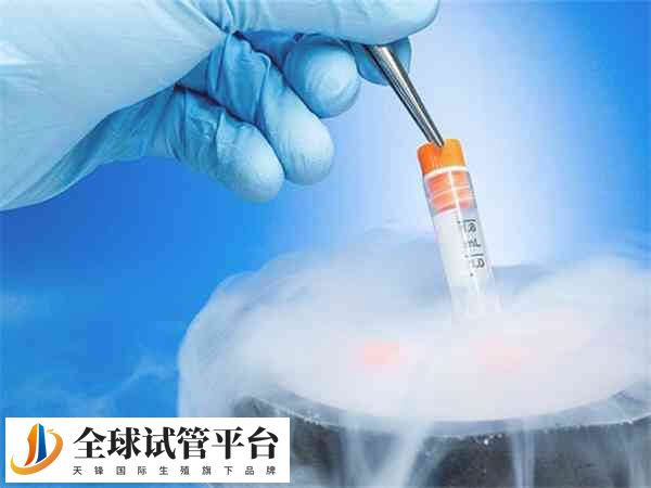 冻胚移植是辅助生殖技术中的重要部分