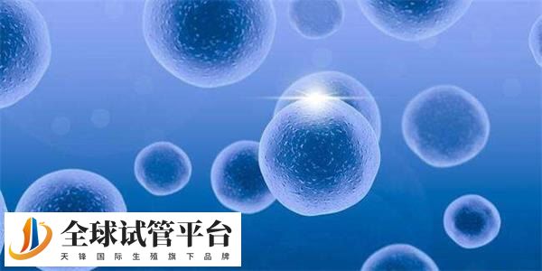 试管婴儿获卵数量8到15个更为合适