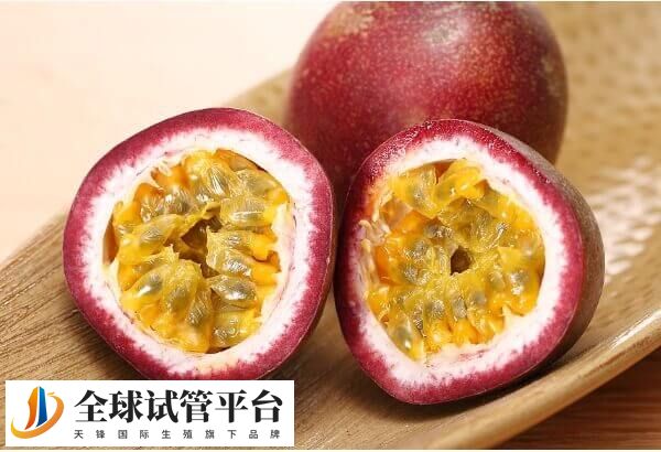 百香果不能助于着床