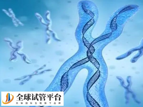 第三代是在第一二代基础上发展起来的