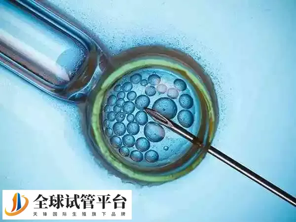 促排卵双胞胎可能长得一样