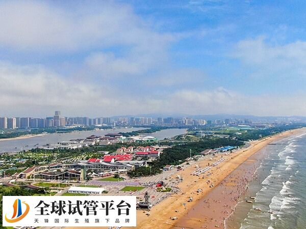 日照市精子库设立在哪家医院？具体地址在哪？