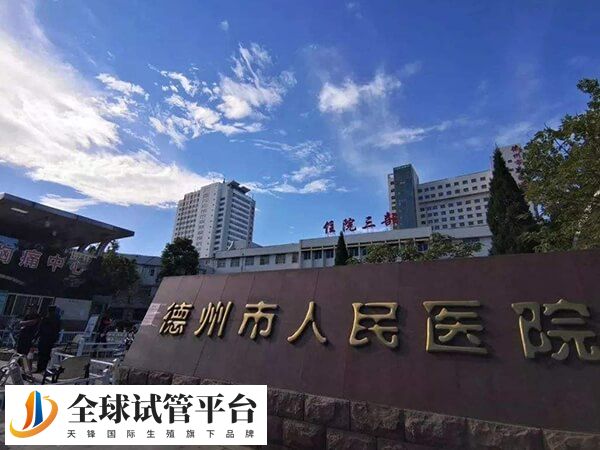 德州本地只有德州人民医院可做试管