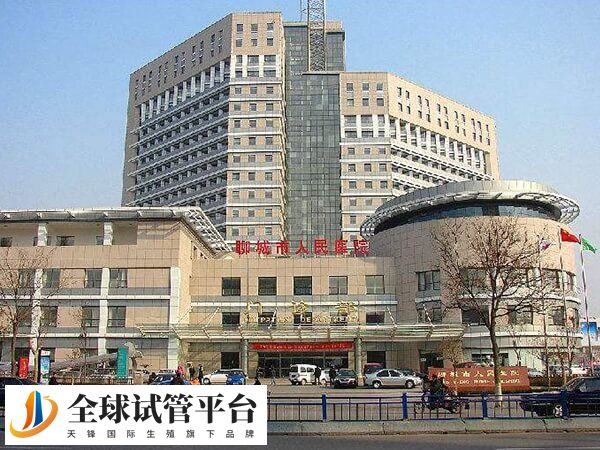 聊城市人民医院借卵做试管婴儿的成功率高吗？