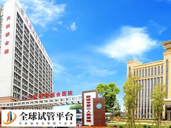 聊城市第二人民医院做第一代试管婴儿费用多少？