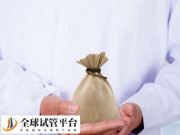 广西做试管婴儿费用多少