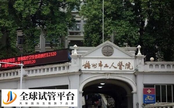柳州市工人医院试管婴儿生男孩的成功率如何？