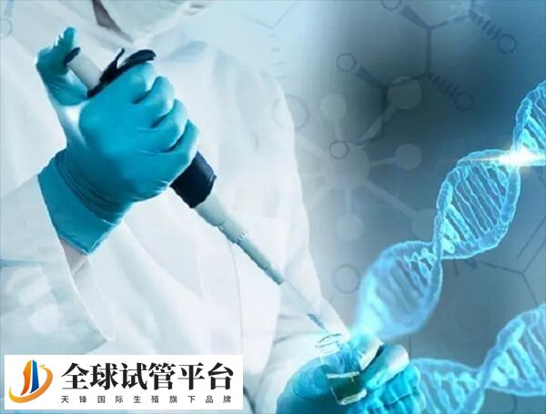 34岁在石家庄做三代试管的成功率高不高