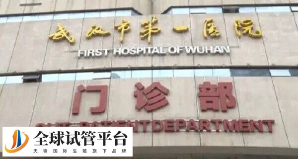 武汉市第一医院试管成功率高不高