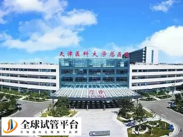 天津医科大学总医院试管婴儿流程是什么