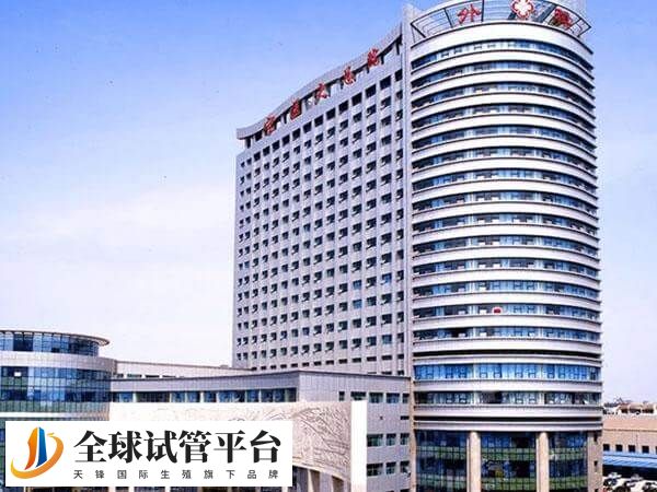 宁夏医科大学总医院供卵试管婴儿费用多少