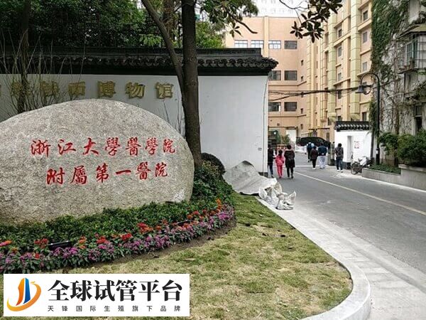 浙大一院试管婴儿价格多少