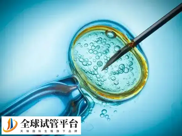 卵巢功能不佳的患者可以选择微刺激方案