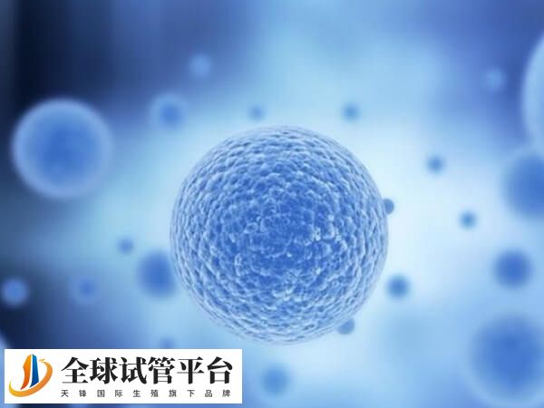 试管婴儿促排卵方案各有公优缺点