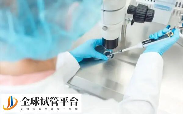 微刺激和ppos方案区别大