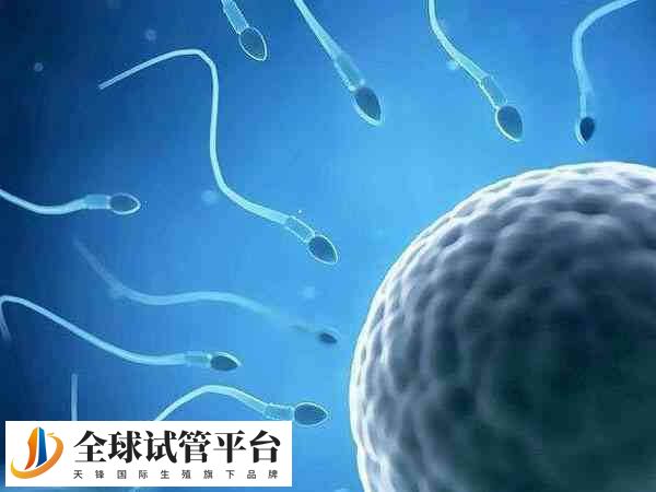 取了卵为什么会配不到胚胎