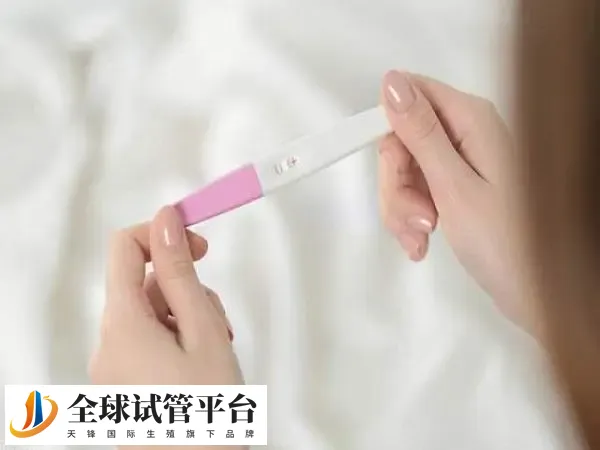 fsh高对生育有影响