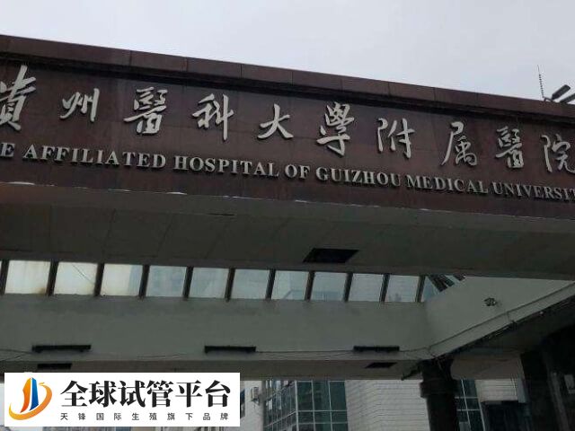 贵州医科大学附属医院可提高三代试管技术