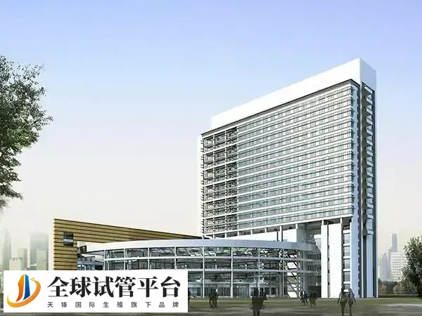 茂名公立医院做一次试管婴儿费用多少