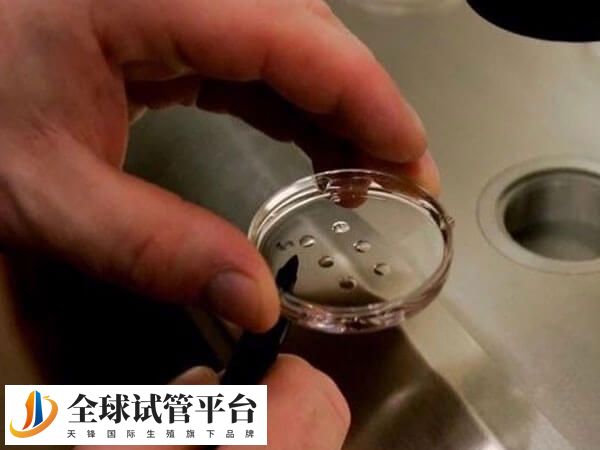 南京第三代试管婴儿流程有哪些