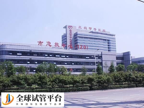 徐州中心医院供卵试管婴儿多少钱