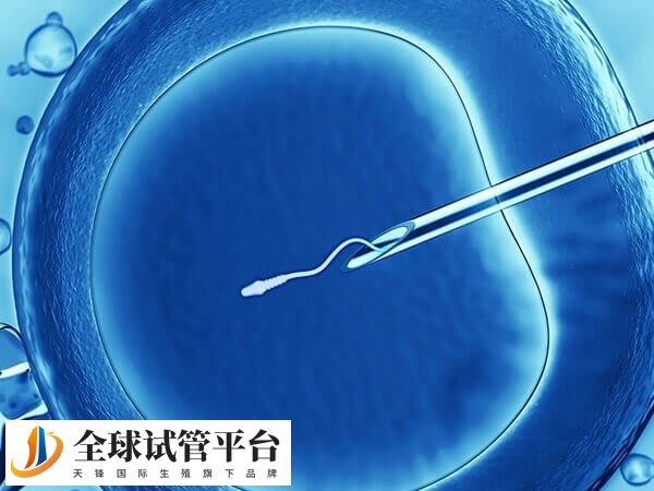 德阳做试管婴儿选哪家医院成功率高收费还便宜？