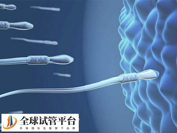 内江没有能够开展人工授精的医院