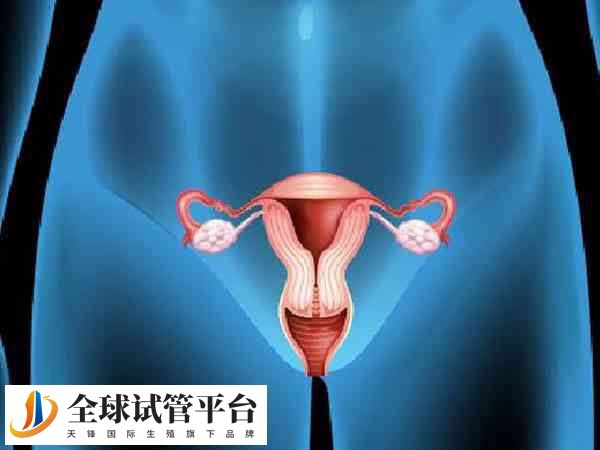 宫腔灌注能够促进子宫内膜的生长