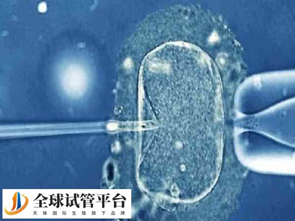 卵泡不破可能是未发育成熟造成的