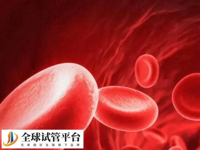 怎么筛查地中海贫血