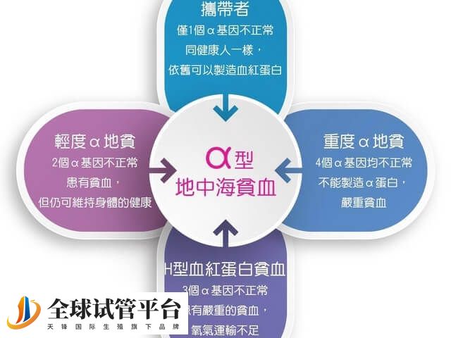 孕妇地中海贫血对胎儿有什么影响