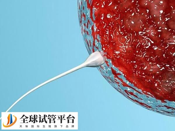 三代试管可不可以排除脑瘫