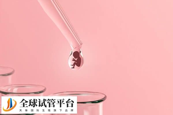 子宫小内膜薄做供卵试管婴儿前需要准备好哪